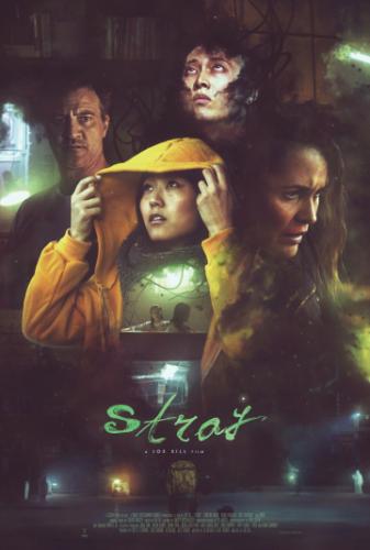 О фильме Заблудившиеся / Stray (2019): Остросюжетный фантастический триллер Заблудившиеся ведет речь о девушке-подростке, которая осталась сиротой, а после неожиданно сильно сблизилась с женщиной детективом, которая ведет расследование ...  Заблудившиеся / Stray (2019)