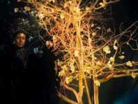 ����� �������