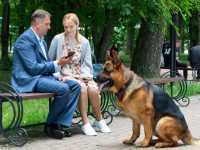 Нарисуй меня счастливой Нарисуй меня счастливой