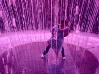 ������ ������ �� �����. �� ������ ����������